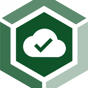 Pictogramme d'un nuage avec une coche, symbole de la sécurité dans le cloud