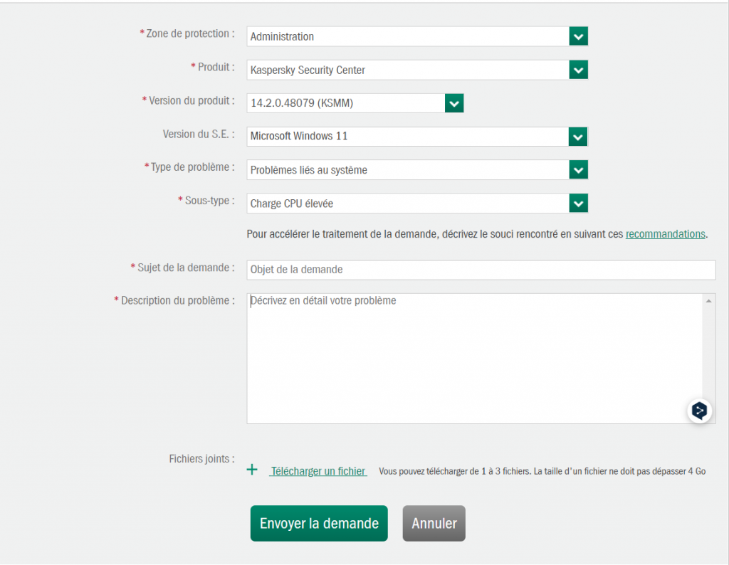 Formulaire de demande de support technique Kaspersky, suite des champs